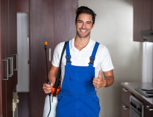 The Importance of Regular Pest Inspections for Your Business